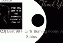 [2023] Best 99+ Girls Burning Poetry And Status