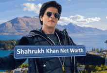 Shahrukh Khan Net Worth (2021) – Income, Cars, Property, Awards, Career & Bio